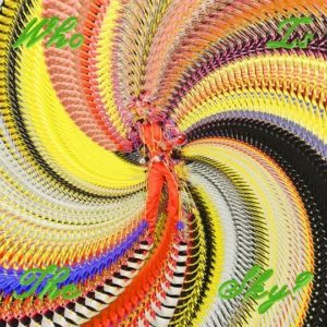 David byrne who is the sky